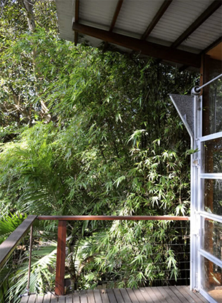 Sue Harper Architects Projects Bronte Studio